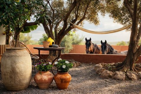 Landejendom i Telde, Gran Canaria, Telde - € 850.000 | Ref: 2026 - foto 9